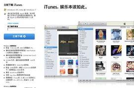 702 zx com 在线视频,揭秘热门在线视频平台的魅力所在