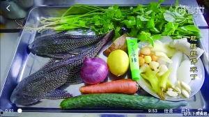 热带鱼在线视频播放